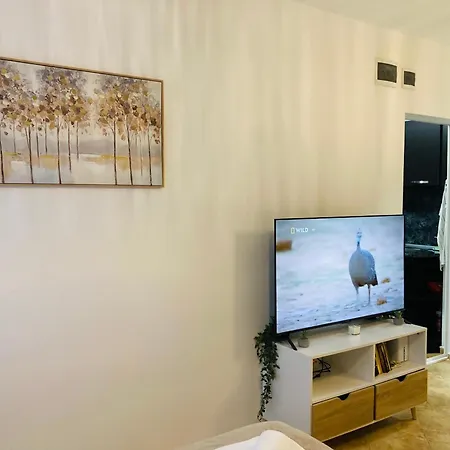 Cozy & Colourful 1 Bdr With Free Street Parking Appartement