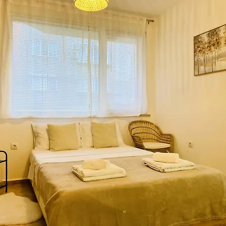 Cozy & Colourful 1 Bdr With Free Street Parking *