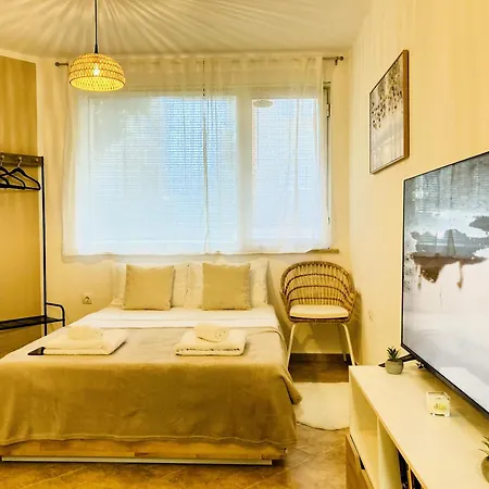 Cozy & Colourful 1 Bdr With Free Street Parking